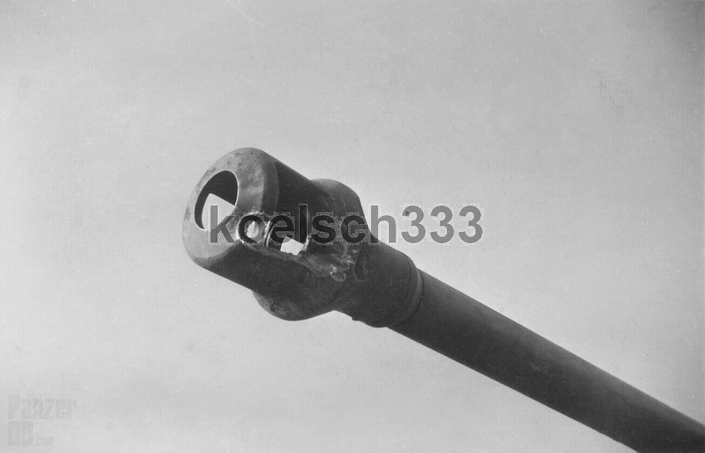 52109698945_152ce54f37_o