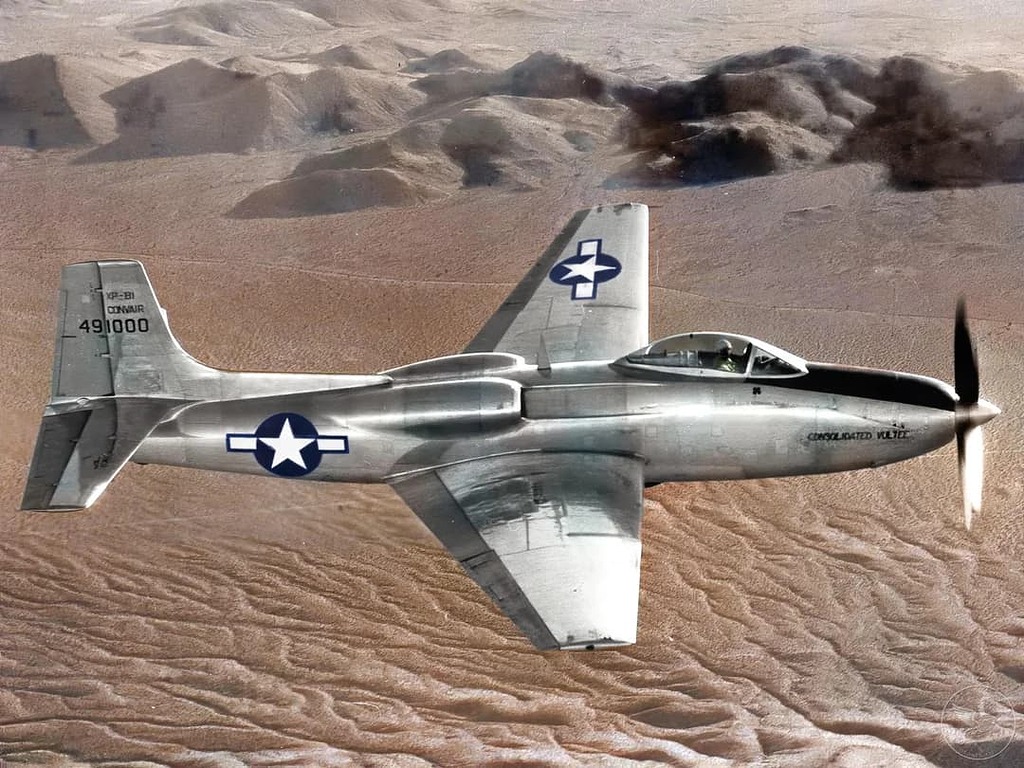Assault Jet TypeX 81