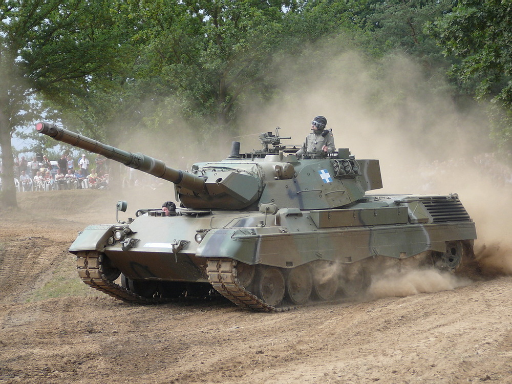 Leopard_1v_lesany