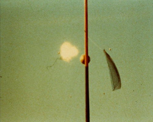 {292EC831-6018-46B2-A9A4-A90970765C9D}