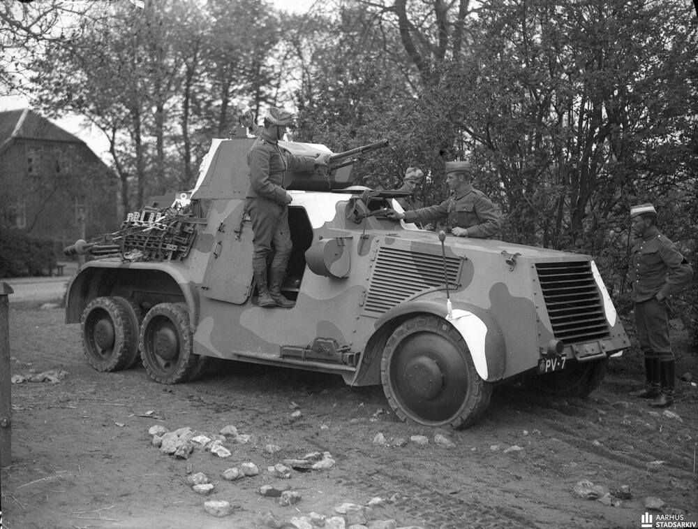 100660112-10220958688424289-228946538838097920-n