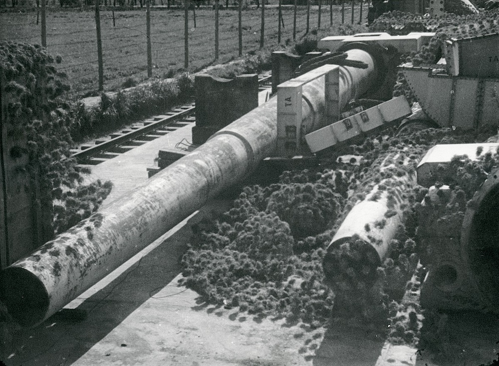 S.K._C34_38cm_1