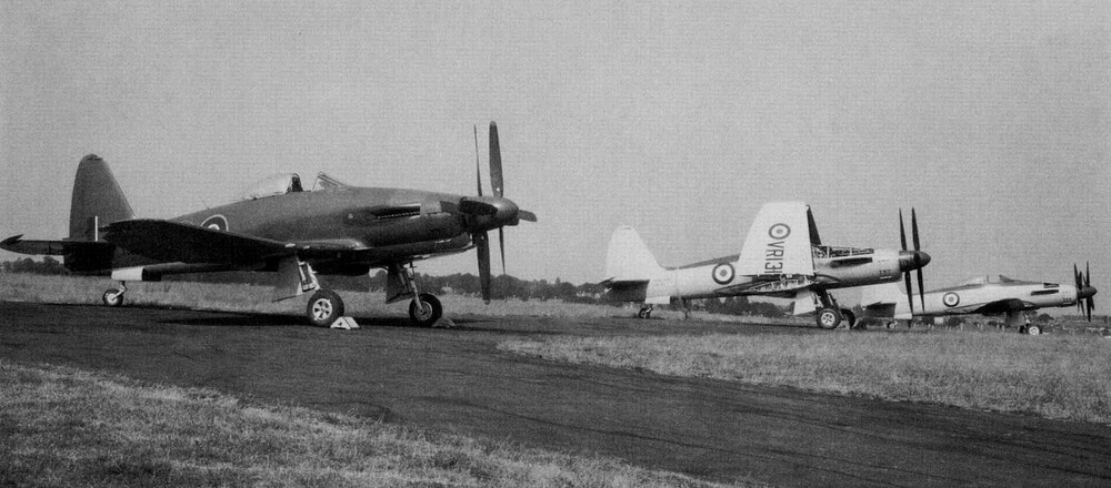 Westland Wyvern TF Mk.1 4