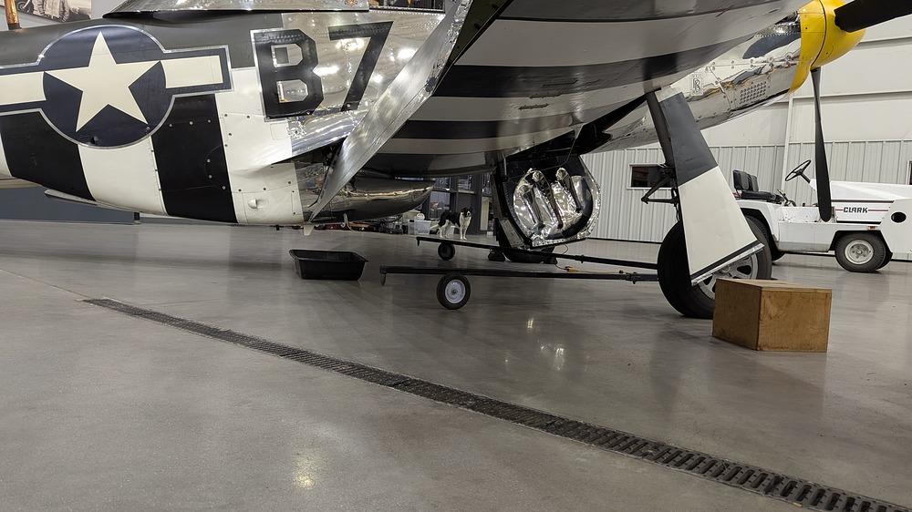 PXL_20251213_012606268