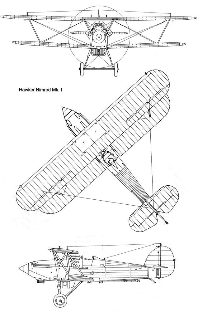 nimrod-1