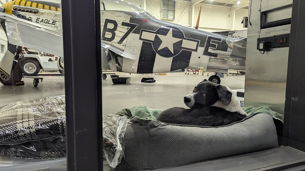 PXL_20260105_230617971