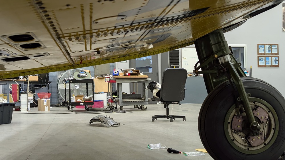 PXL_20251230_222347916