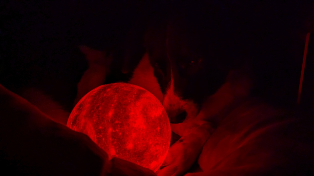 PXL_20250801_035606565