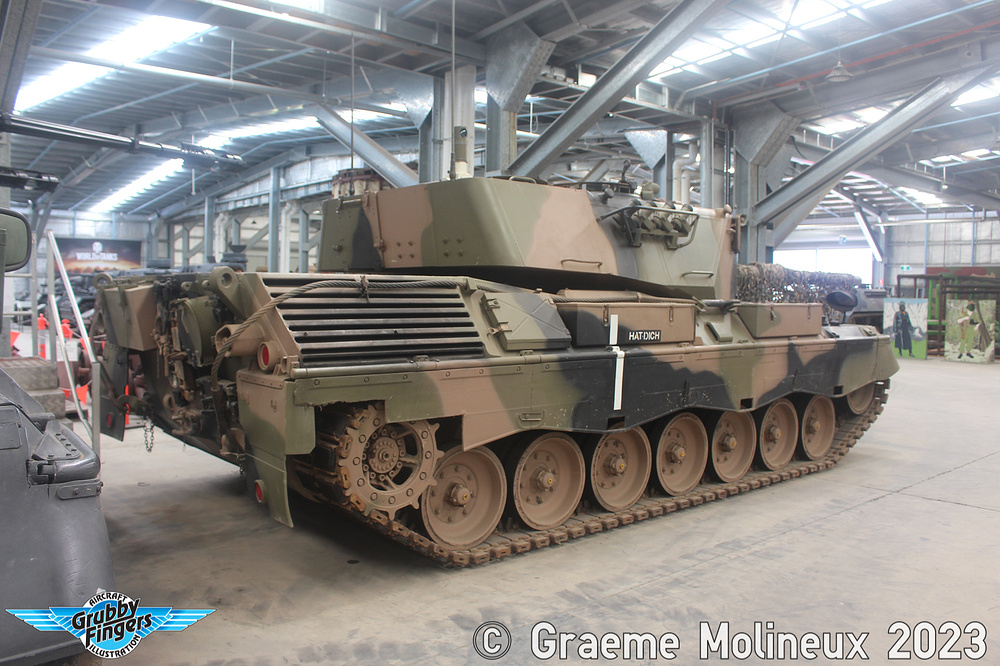 Leopard.08