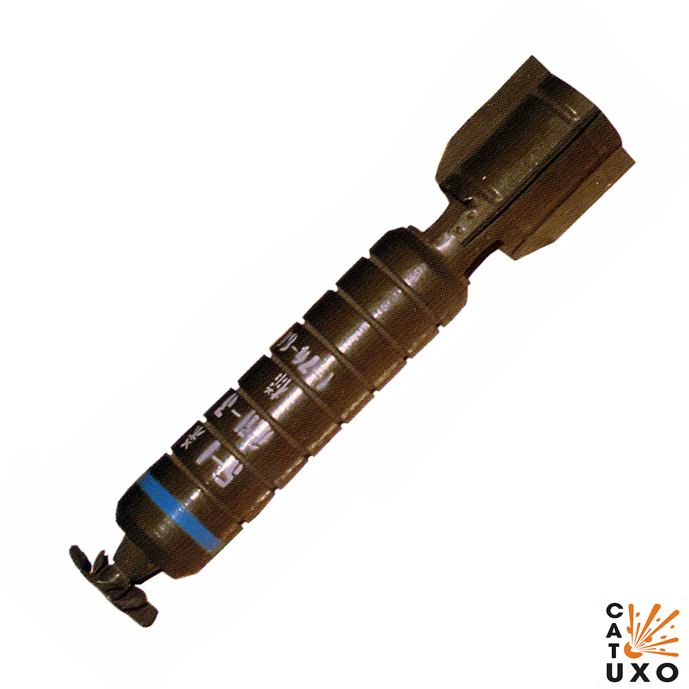 type1-001