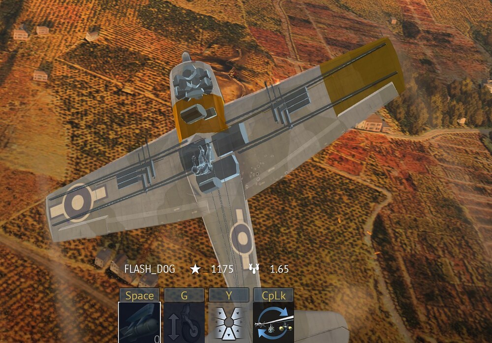 aces_LofcBpzGaX