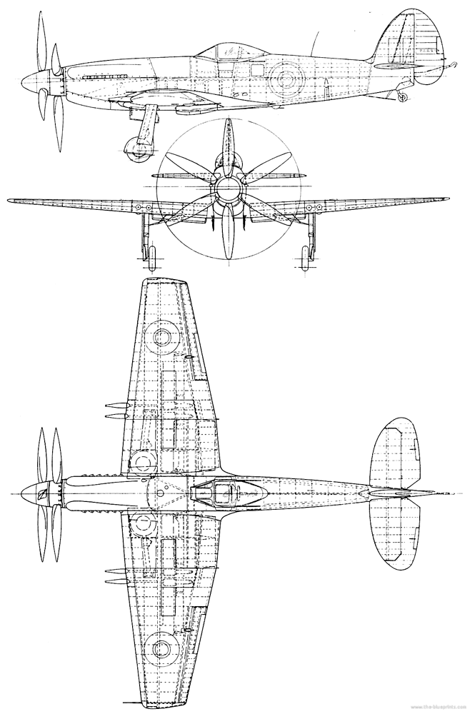Supermarine Seafang F.32 three view