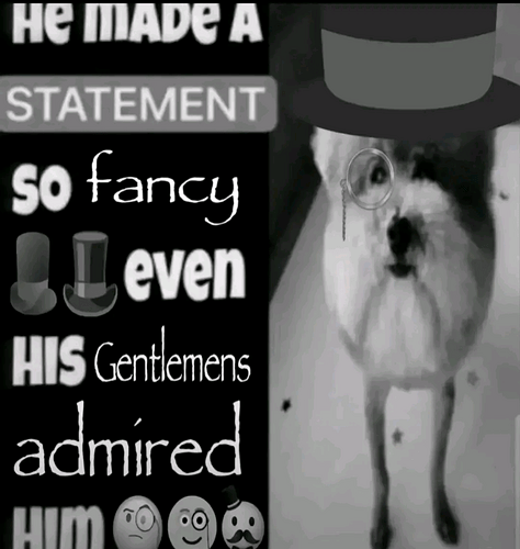 idk how to reply to this