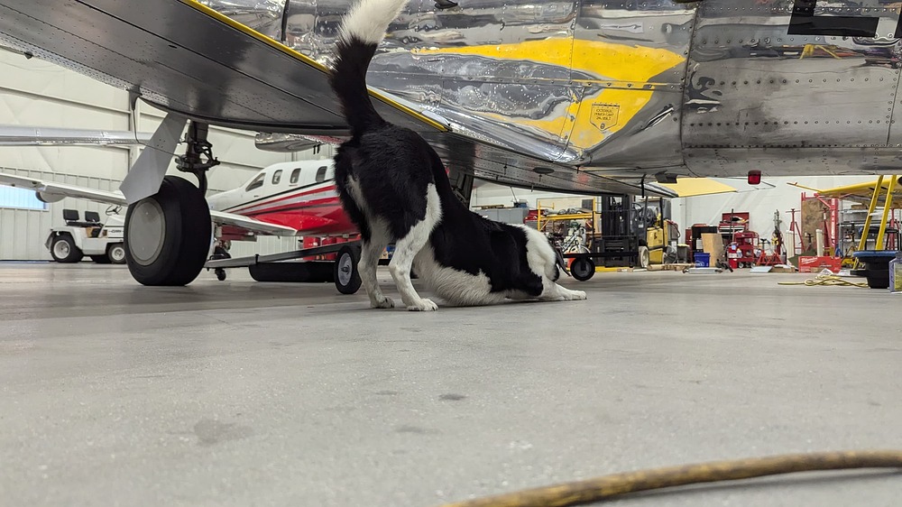 PXL_20251015_220015563