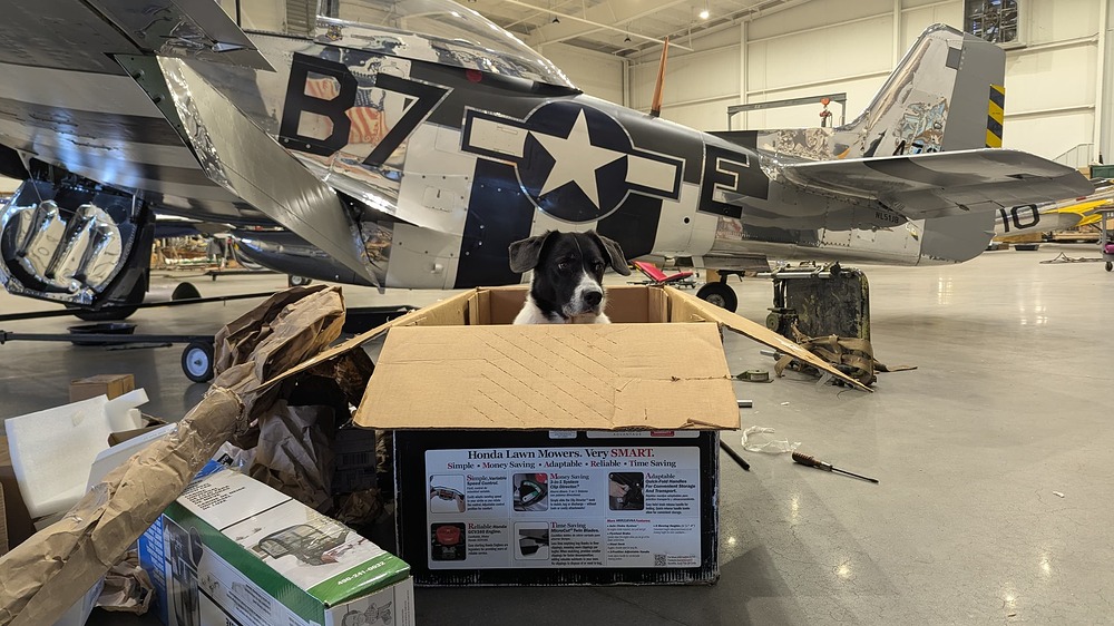 PXL_20260202_184015285