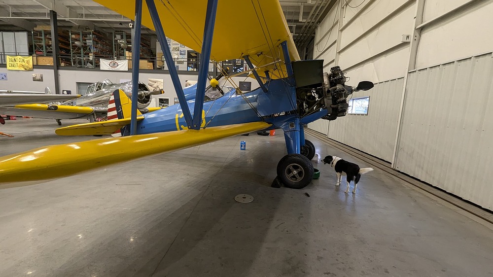 PXL_20251022_160606368