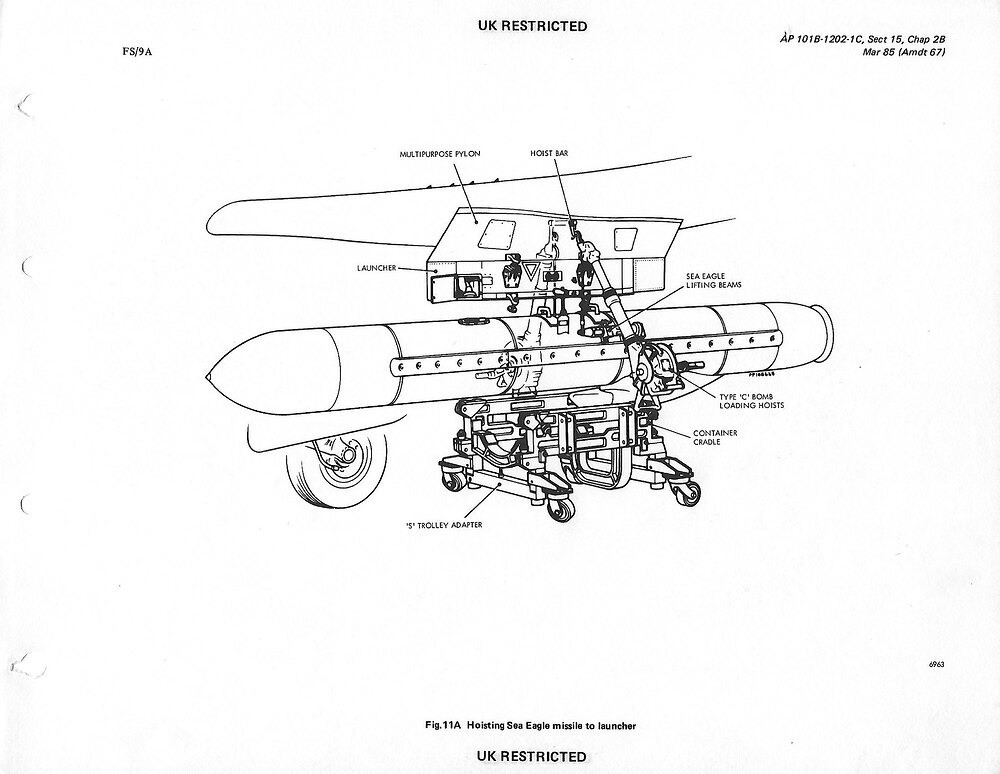 53226131353_dd5d8152dc_k