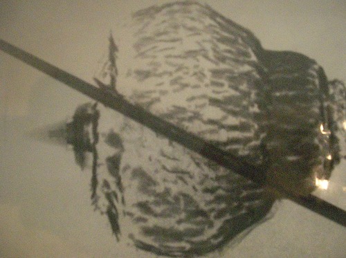 {BB4AC0B5-103B-4729-B27E-C19AF0497559}