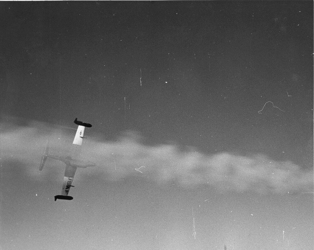 Plumbbob_John_004
