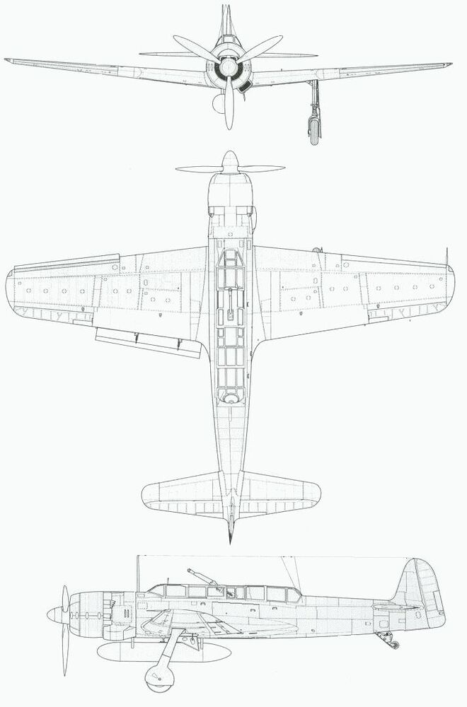 c6n1