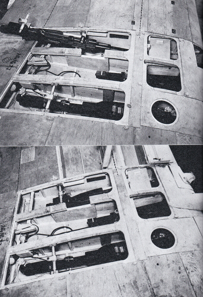 Wing and 20mm cannon
