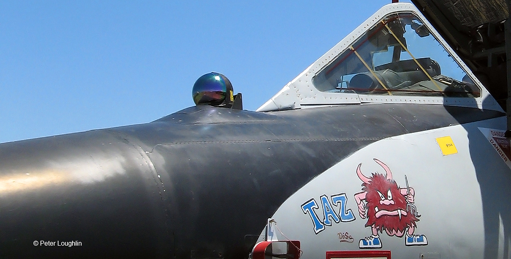 f106-deltadart-pcam-03 (2)
