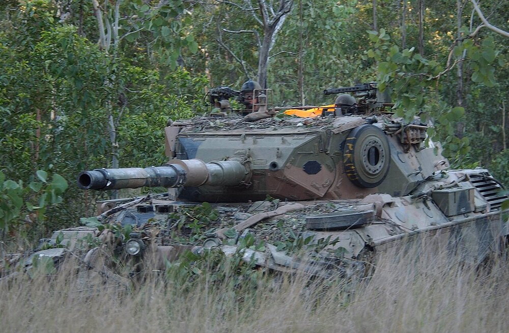 Leopard.02