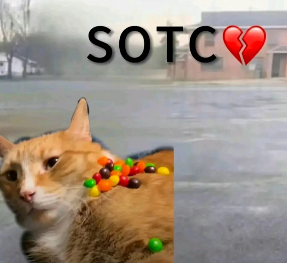 Screenshot 2025-12-11 190040