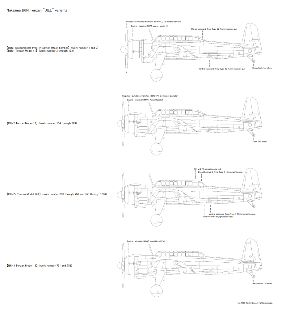 B6N variants1