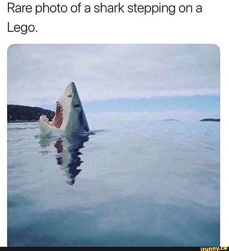 Shark Stepping on a Lego