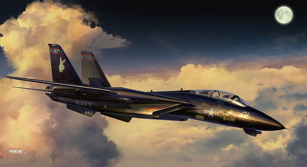 f-14a-us-navy-palubnyi-tankro-kato-ssha-istrebitel-perekhvat