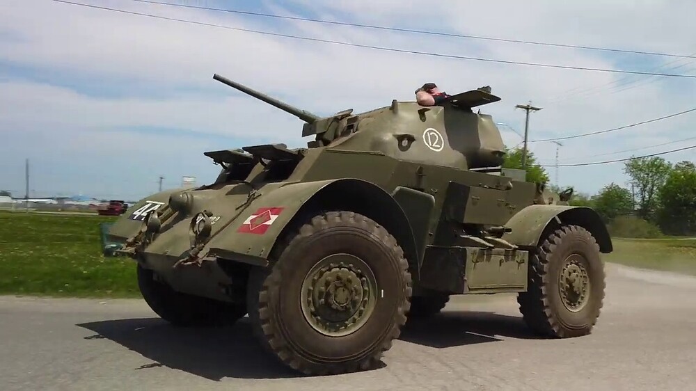 Staghound Restoration
