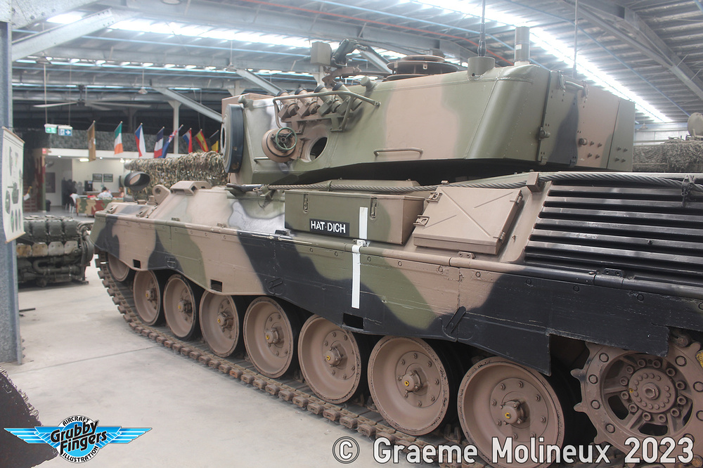 Leopard.09