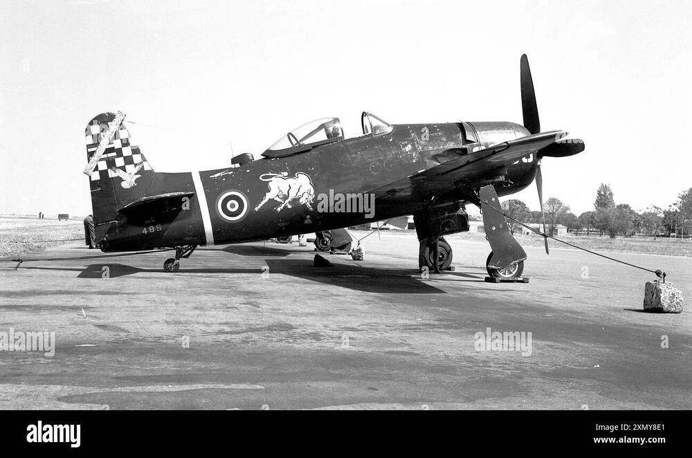 grumman-f8f-1-bearcat-485-2XMY8E1