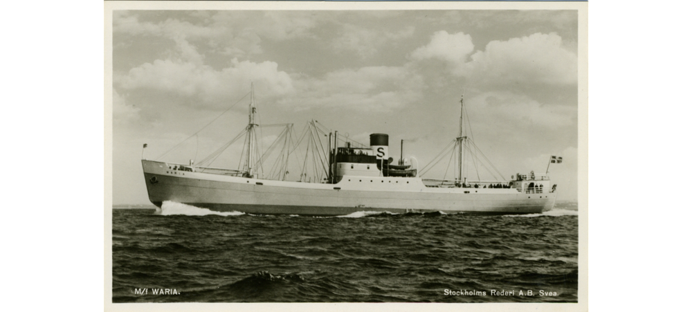 MS Waria