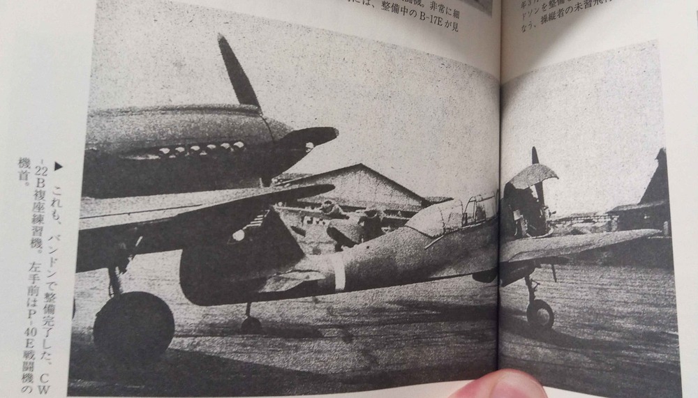 IMG_20251029_175925_233