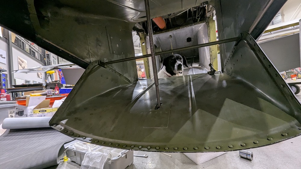 PXL_20260413_205815754