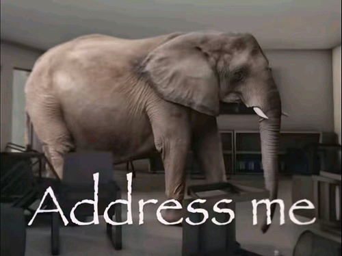 the-address-me-elephant-in-the-room-v0-817mjzxaf8of1