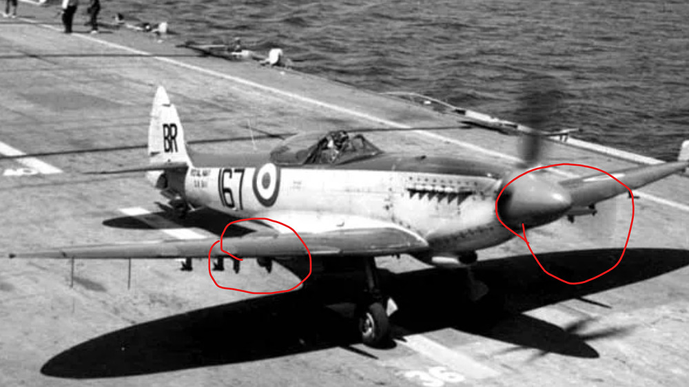 seafires 2