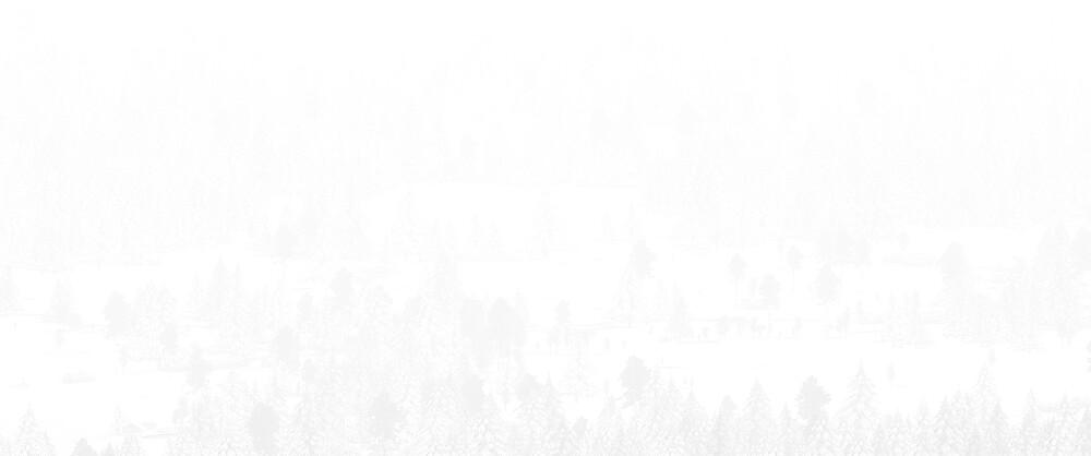 236390_27