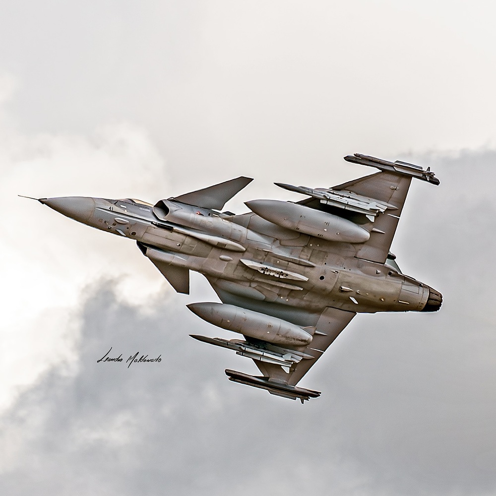 the_lmaldonado_1740250403_3573801872796160316_14573494