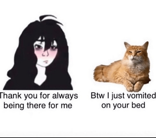 Screenshot 2026-02-24 090838