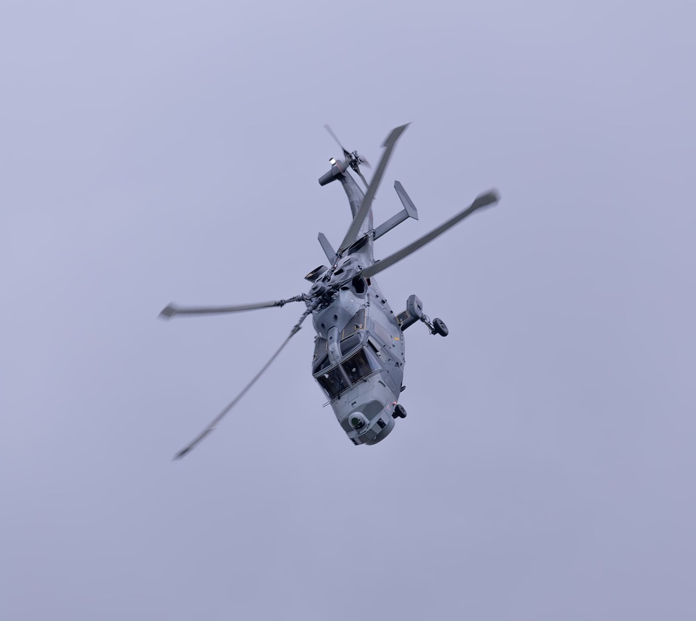 Wildcat (4 of 11)