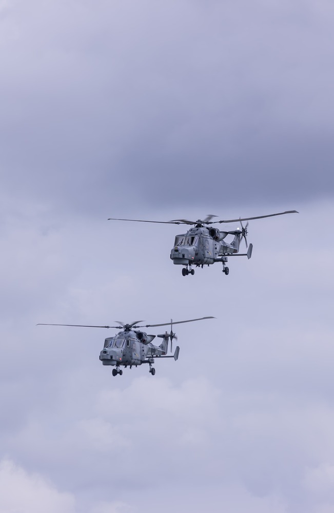 Wildcat (2 of 11)