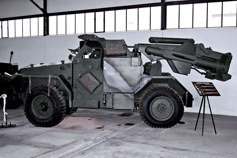 Hornet_Malkara_img_2363 (1)