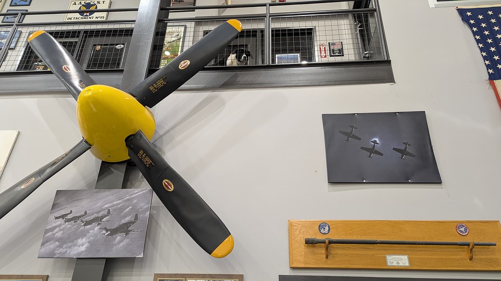 PXL_20251202_010901795