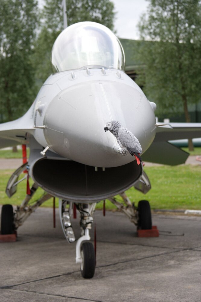 2154_2006-033 D-7773