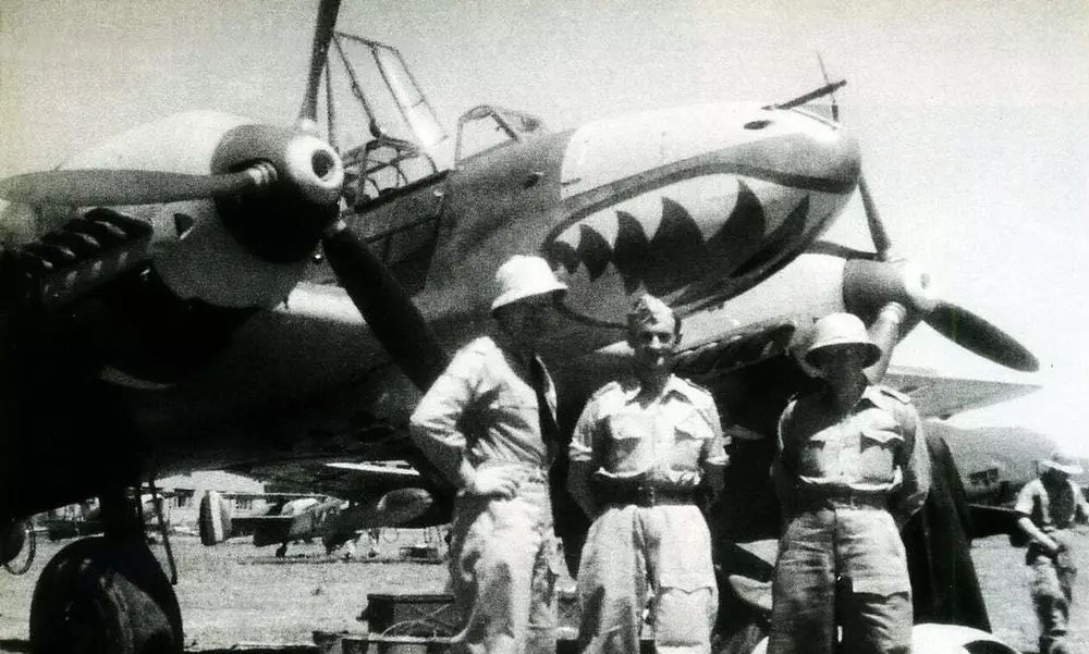 aircraft-of-fliegerfürher-irak-a-luftwaffe-unit-supporting-v0-h3ks4rxgz4dg1