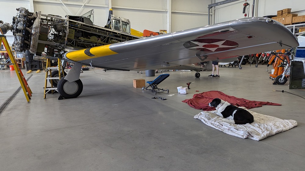 PXL_20250930_170743228