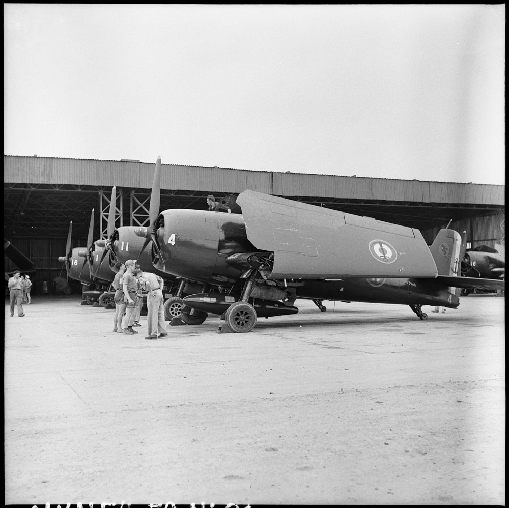 arromanches-sb2c-5-f6f-5-hellcats-of-flottille-11f-a